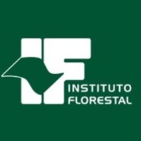 Logo_IF.jpg
